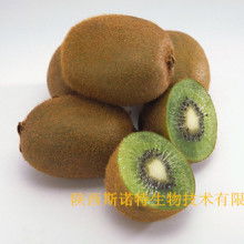 寶雞市特產銷售行業協會 領航獼猴桃產業，打造“金果”新名片