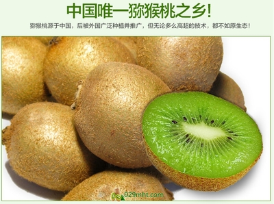 【預售開啟】2015年度優質徐香獼猴桃，邀您搶先品嘗金秋碩果