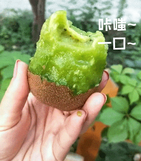 走起！這樣的采摘游玩樂趣千萬別錯過——獼猴桃采摘基地合集