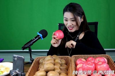 專業合作社引領，果農增收致富路——扶風獼猴桃實現全年供應與銷售新突破