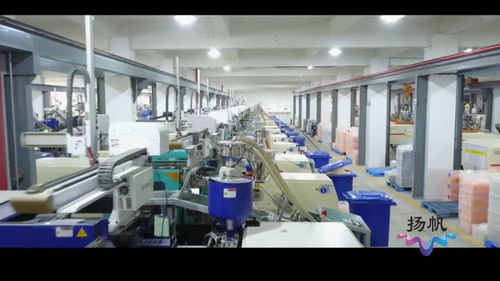 生態(tài)科技新城 組建專班精準服務，扶持企業(yè)做大做強信息技術咨詢服務