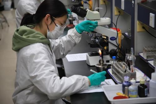 第九屆達承杯醫學檢驗技術專業本科生技能大賽圓滿落幕，技術研發成果顯著